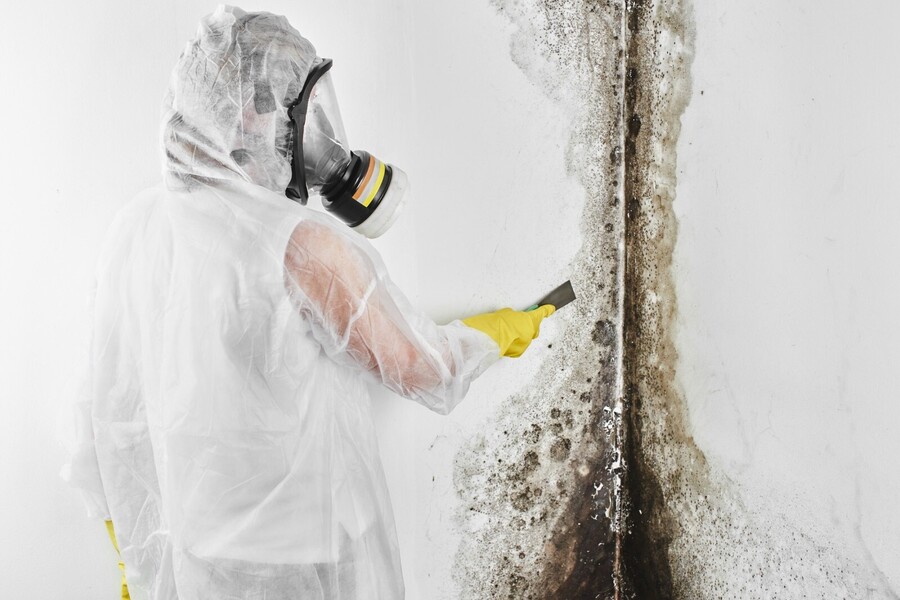 Mold Remediation by True Clean Emergency Restoration LLC